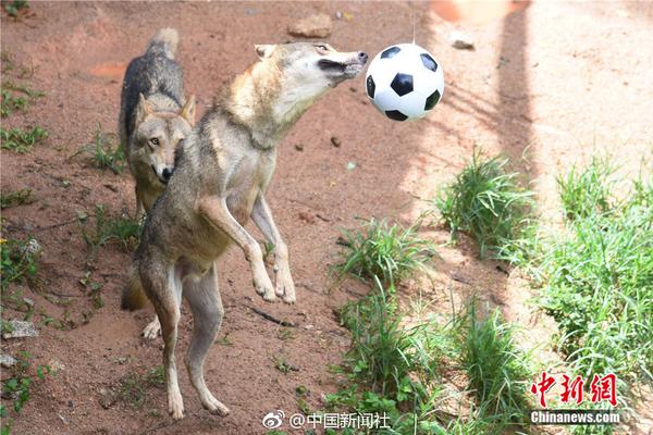 索拉斯塔法师之冠游荡者职业怎么样