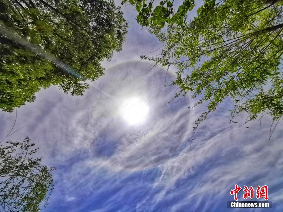 暗黑地牢骸骨斗士是什么怪物